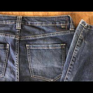 Jag Bootcut Jeans Petite